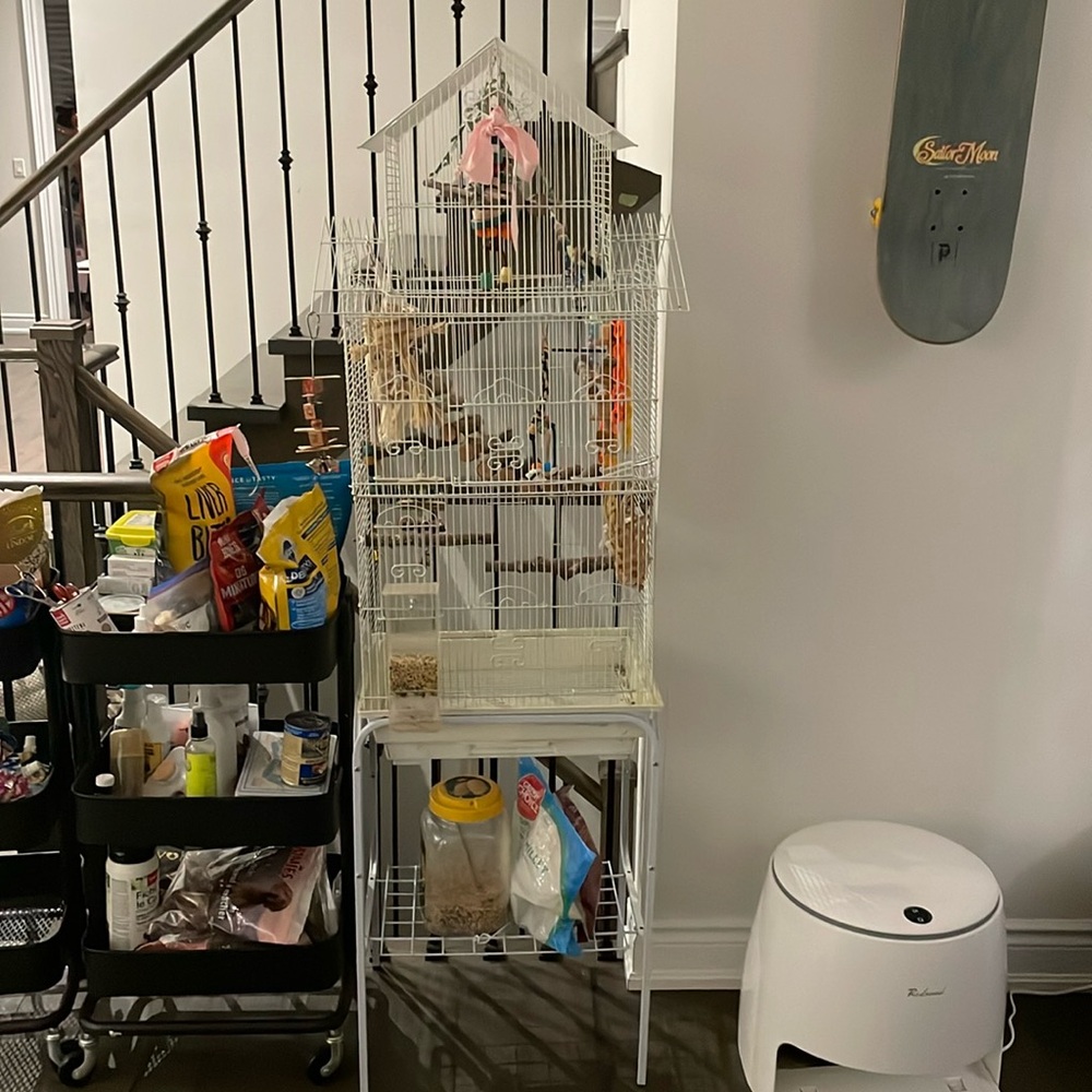 bird home